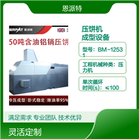 BM-12531恩派特1250噸銅屑壓餅機(jī)